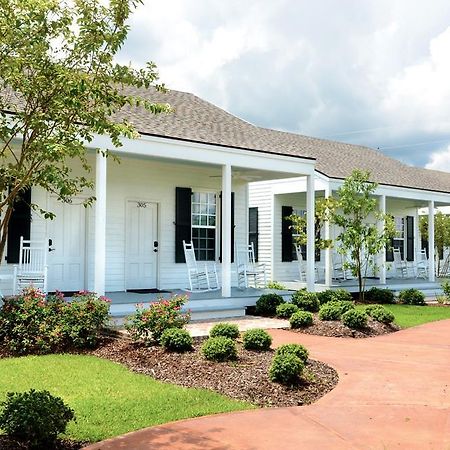 Nottoway Plantation And Resort White Castle Buitenkant foto