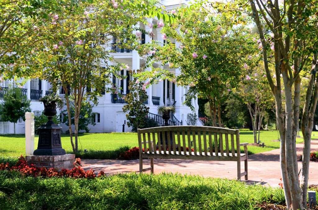 Nottoway Plantation And Resort White Castle Buitenkant foto