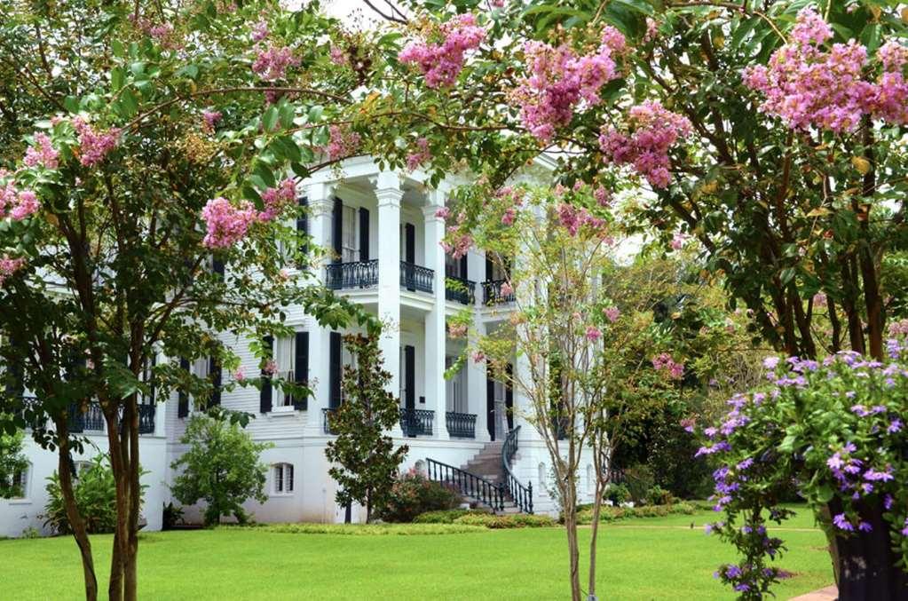 Nottoway Plantation And Resort White Castle Buitenkant foto